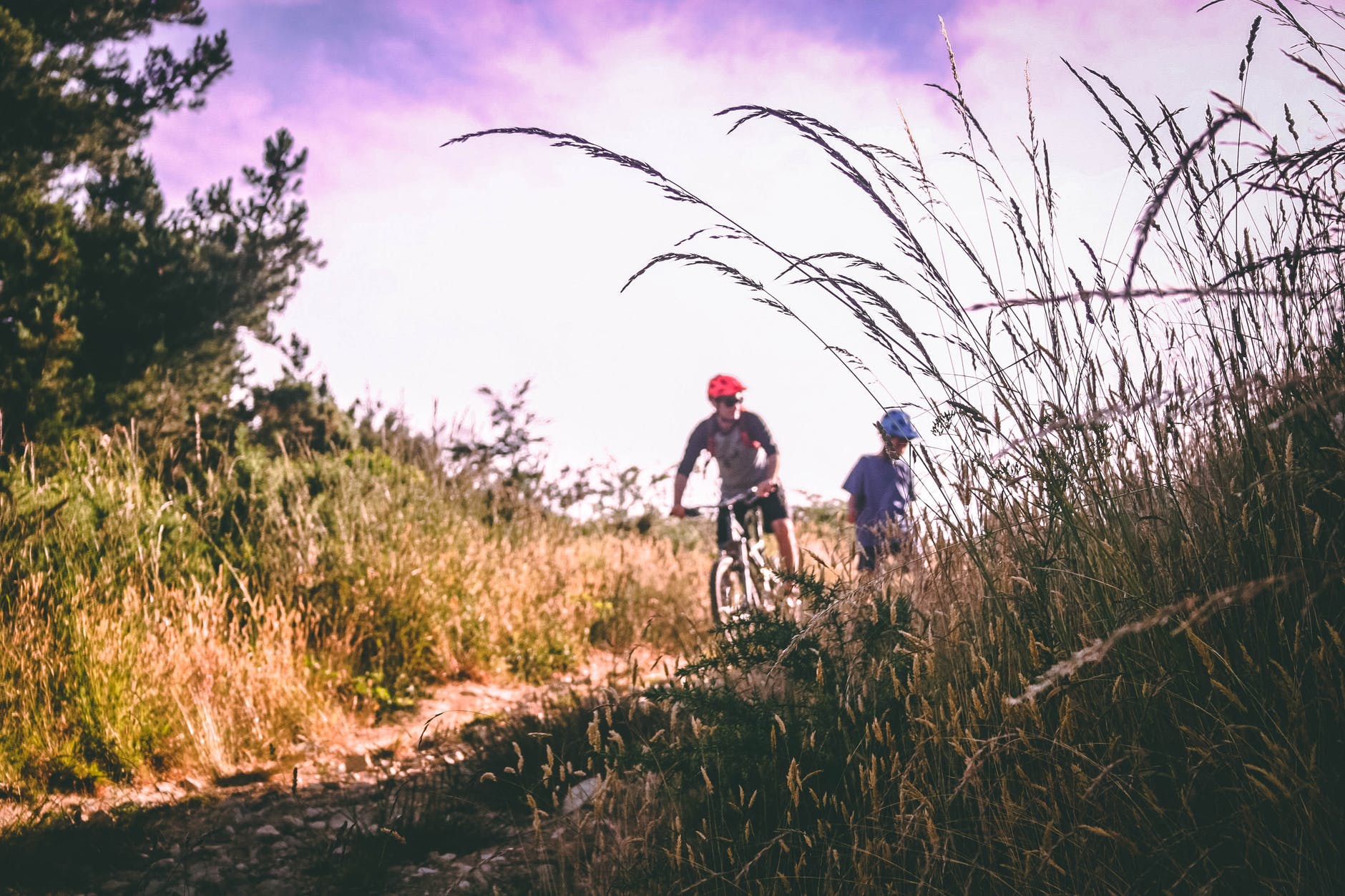 the south downs way cycle route