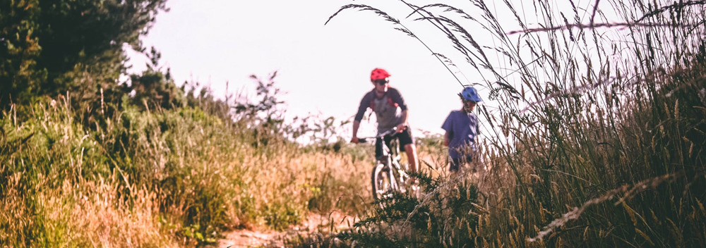 the south downs way cycle route