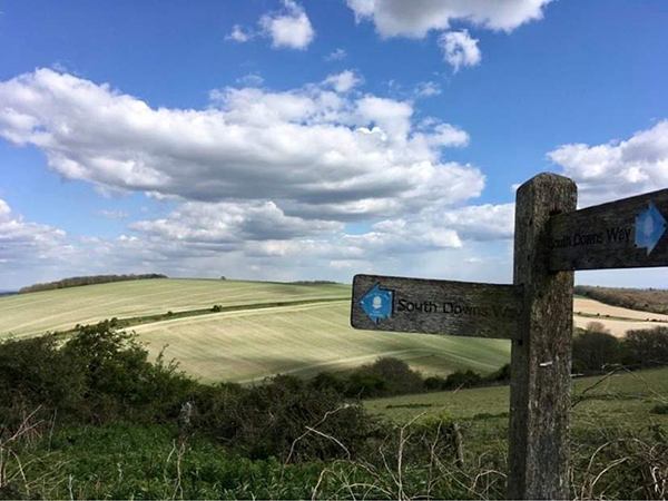 Walking The South Downs Way: Walking Routes & Information