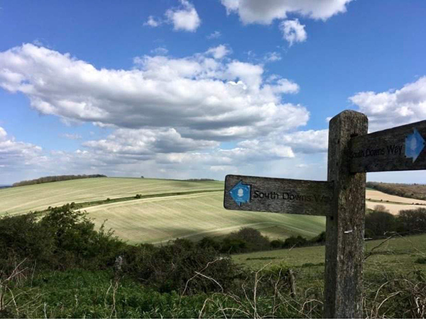 the south downs way cycle route