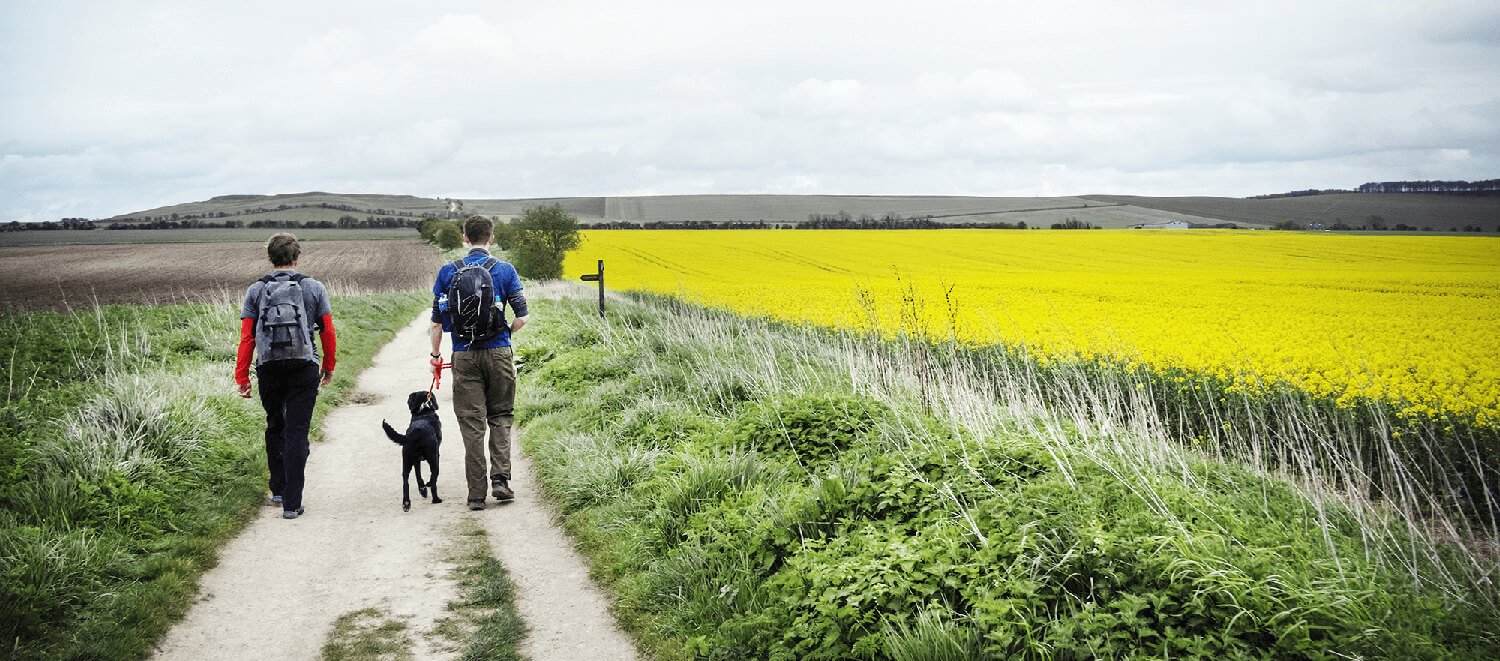 Keeping Warm While Walking the South Downs Way